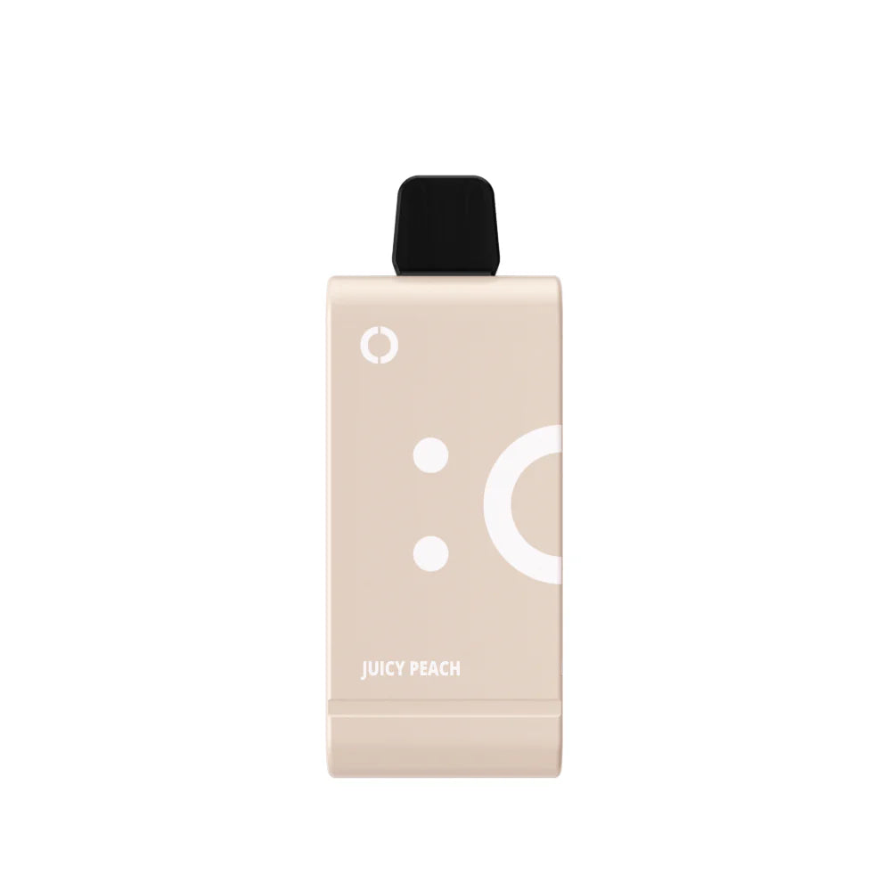 ELFBAR EW25000 Juicy Peach Pod ONT