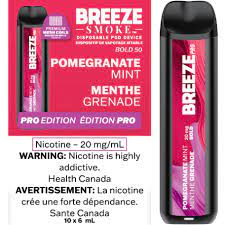 Breeze Smoke Pro Disposable Pomegranate Mint 6ml