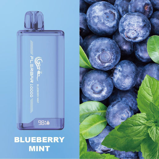 Genie Flerbar 10000 Disposable Blueberry Mint