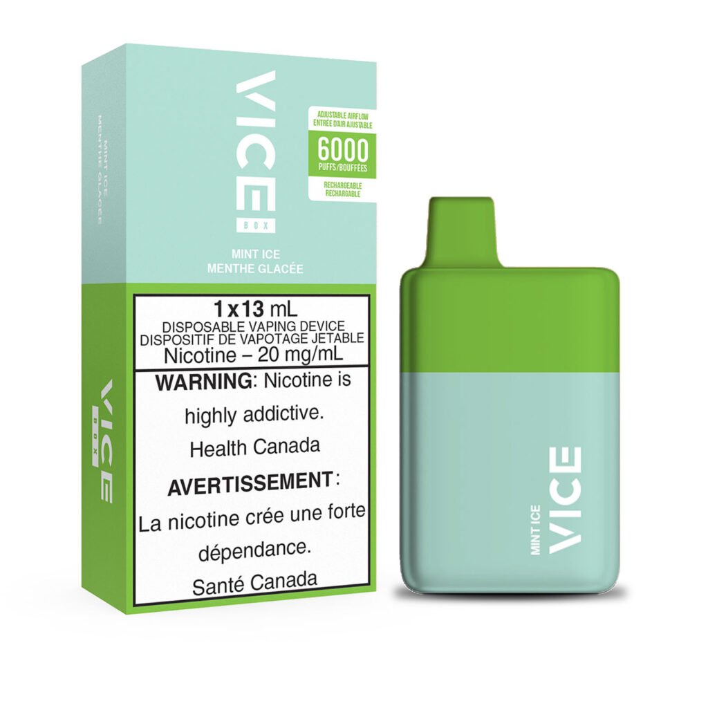 Vice Disposable Box 6000 Mint Ice