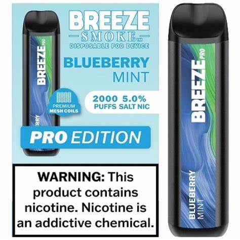 Breeze Smoke S50 Disposable Blueberry Mint (6ml)